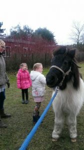 Aan de longe borstelen